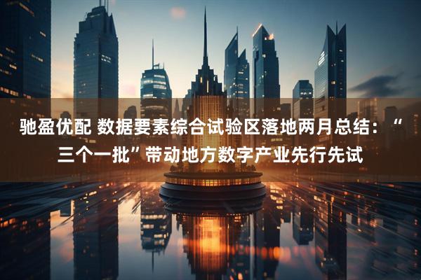 驰盈优配 数据要素综合试验区落地两月总结：“三个一批”带动地方数字产业先行先试