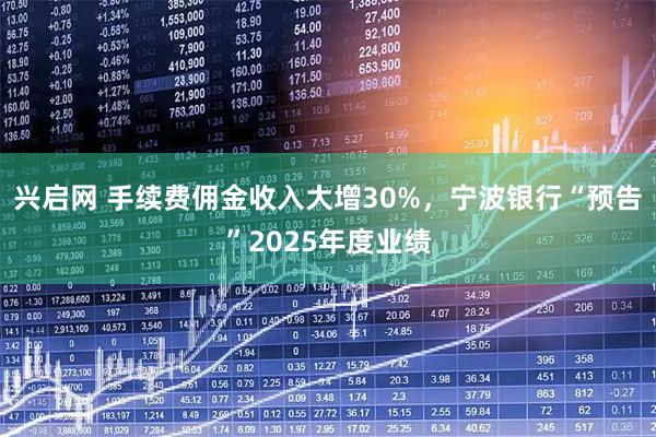 兴启网 手续费佣金收入大增30%，宁波银行“预告”2025年度业绩